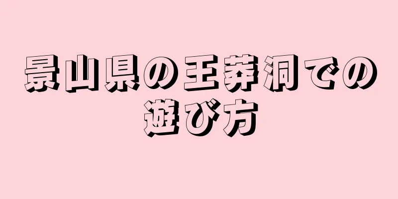 景山県の王莽洞での遊び方
