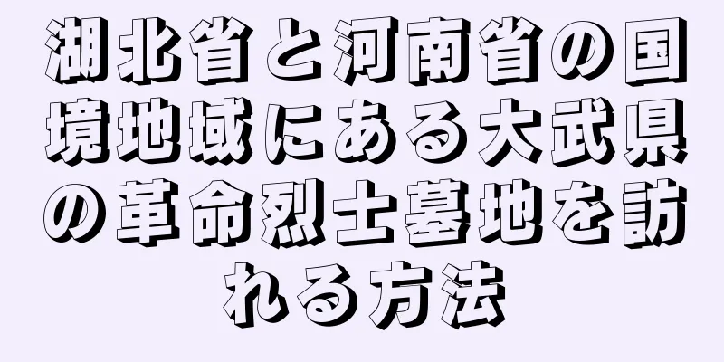 湖北省と河南省の国境地域にある大武県の革命烈士墓地を訪れる方法