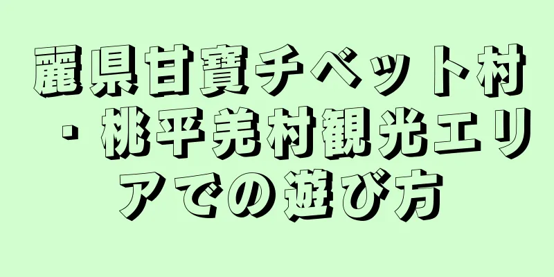 麗県甘寶チベット村・桃平羌村観光エリアでの遊び方