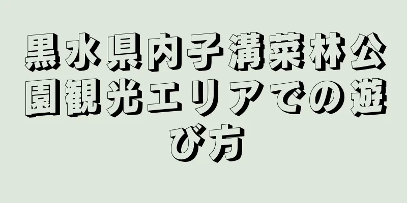 黒水県内子溝菜林公園観光エリアでの遊び方