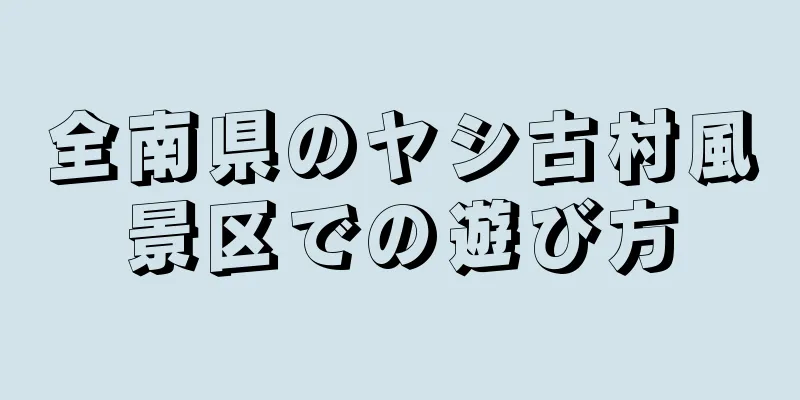 全南県のヤシ古村風景区での遊び方