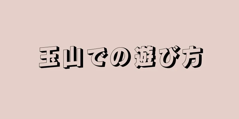 玉山での遊び方