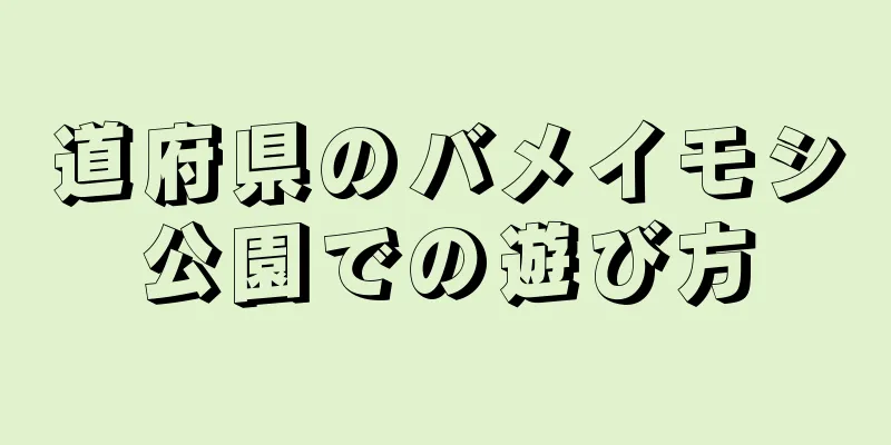 道府県のバメイモシ公園での遊び方