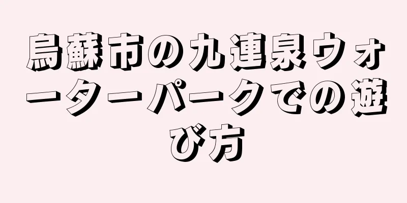 烏蘇市の九連泉ウォーターパークでの遊び方