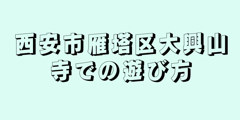 西安市雁塔区大興山寺での遊び方
