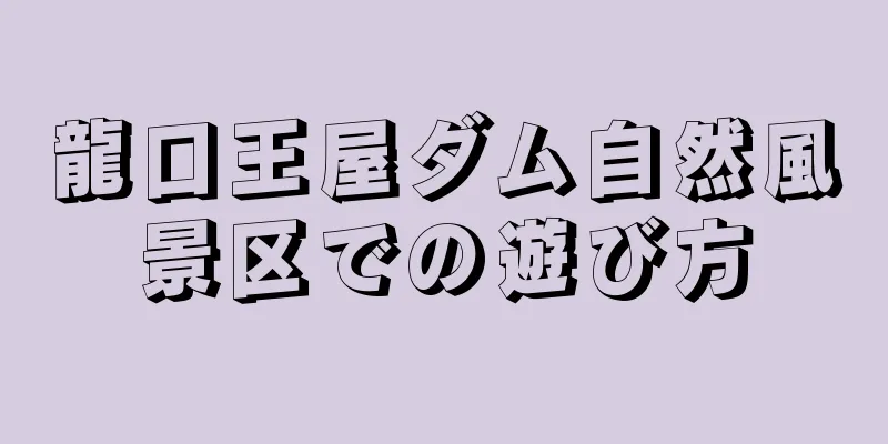 龍口王屋ダム自然風景区での遊び方