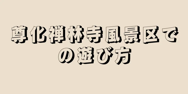 尊化禅林寺風景区での遊び方