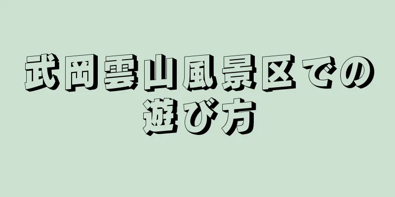 武岡雲山風景区での遊び方