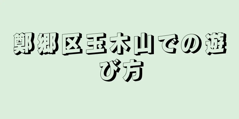 鄭郷区玉木山での遊び方
