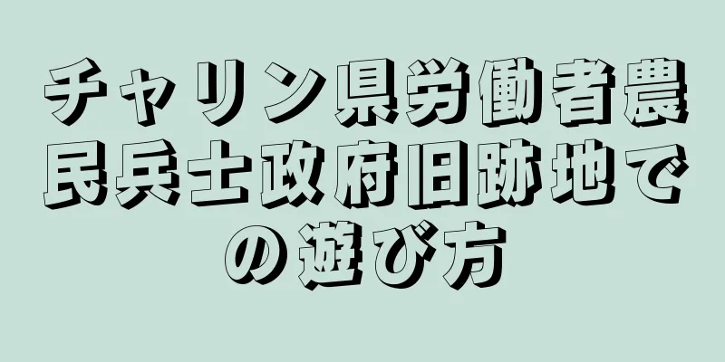 チャリン県労働者農民兵士政府旧跡地での遊び方