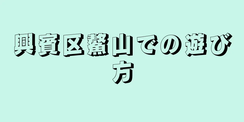 興賓区鰲山での遊び方