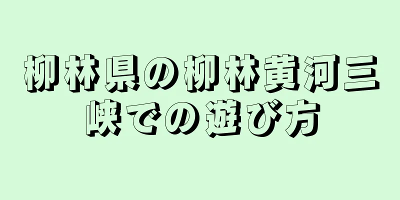 柳林県の柳林黄河三峡での遊び方