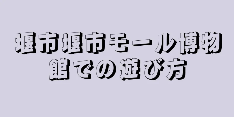 堰市堰市モール博物館での遊び方