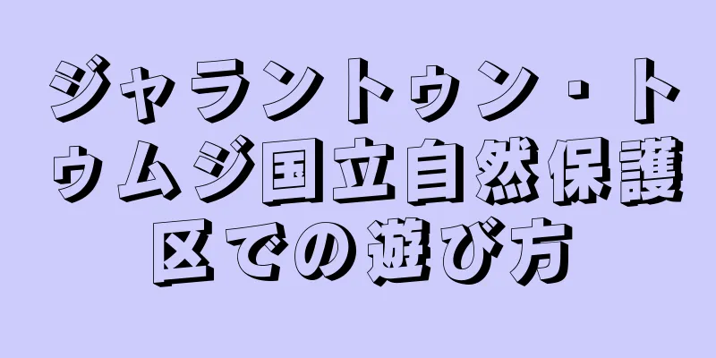 ジャラントゥン・トゥムジ国立自然保護区での遊び方