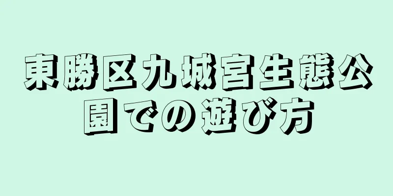 東勝区九城宮生態公園での遊び方