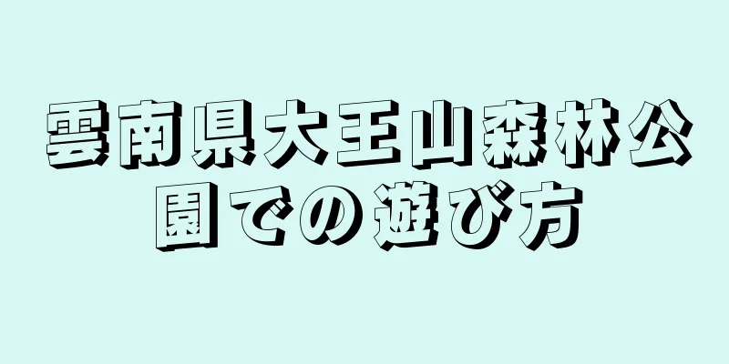 雲南県大王山森林公園での遊び方