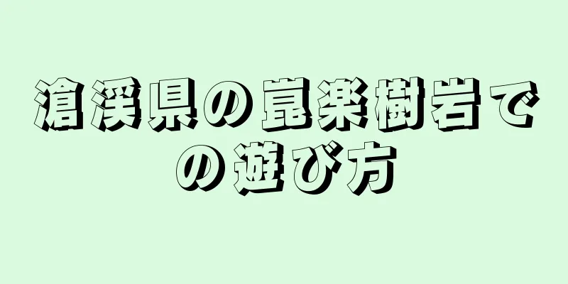 滄渓県の崑楽樹岩での遊び方