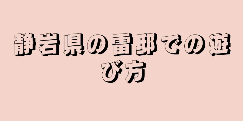 静岩県の雷邸での遊び方