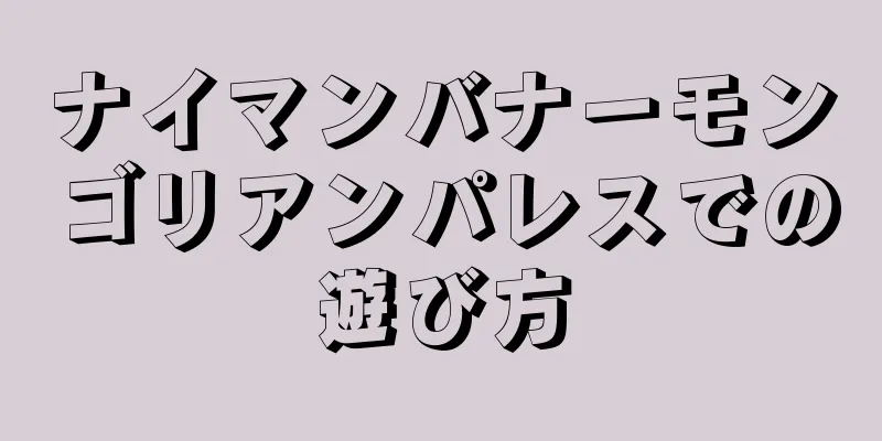 ナイマンバナーモンゴリアンパレスでの遊び方