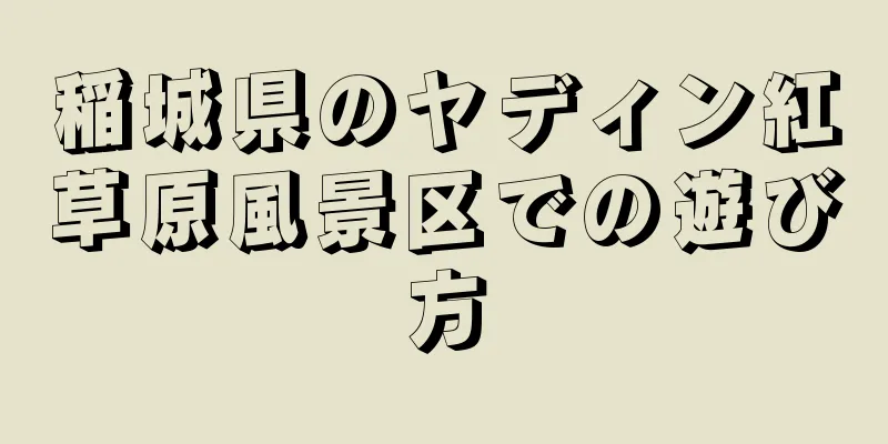 稲城県のヤディン紅草原風景区での遊び方
