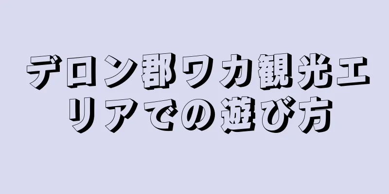 デロン郡ワカ観光エリアでの遊び方