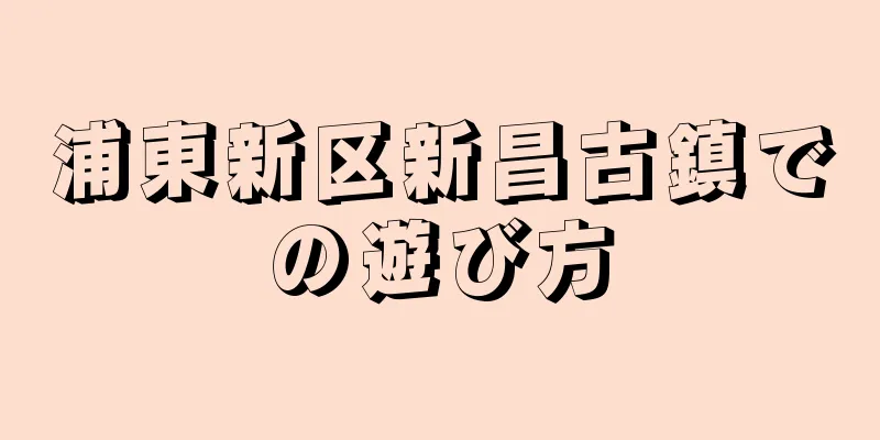 浦東新区新昌古鎮での遊び方