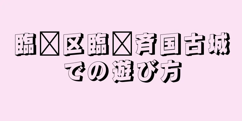 臨淄区臨淄斉国古城での遊び方
