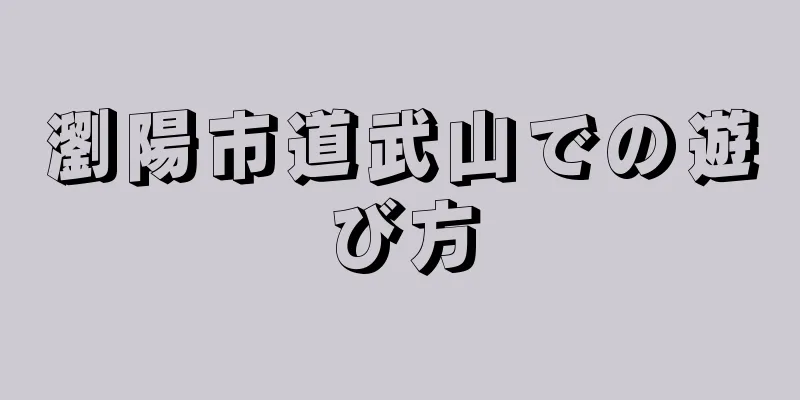 瀏陽市道武山での遊び方