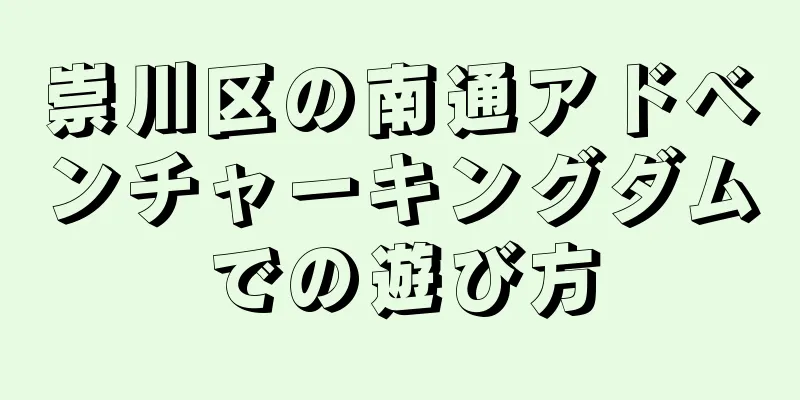 崇川区の南通アドベンチャーキングダムでの遊び方