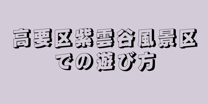 高要区紫雲谷風景区での遊び方