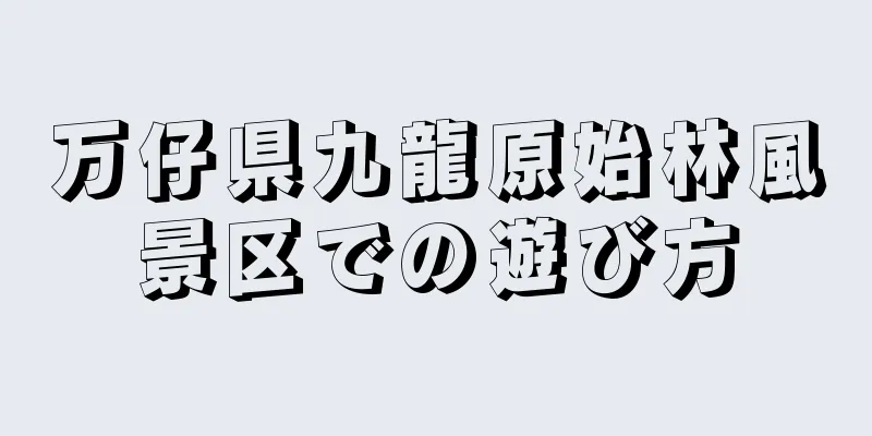 万仔県九龍原始林風景区での遊び方
