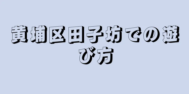 黄埔区田子坊での遊び方