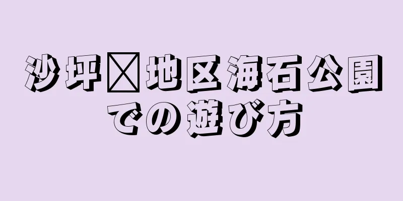 沙坪壩地区海石公園での遊び方