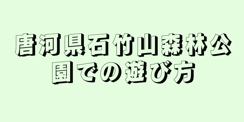 唐河県石竹山森林公園での遊び方