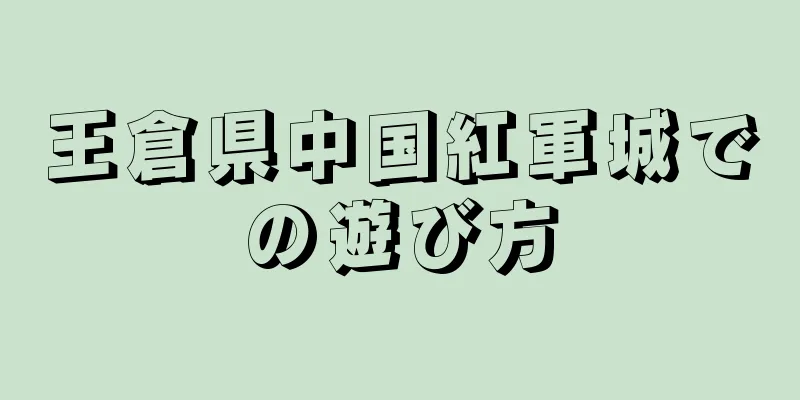 王倉県中国紅軍城での遊び方