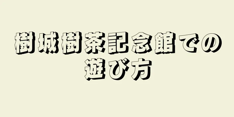 樹城樹茶記念館での遊び方