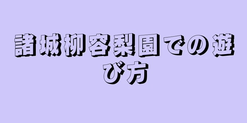 諸城柳容梨園での遊び方