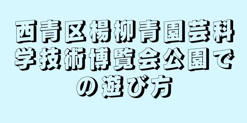 西青区楊柳青園芸科学技術博覧会公園での遊び方