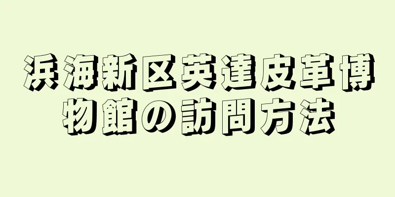 浜海新区英達皮革博物館の訪問方法