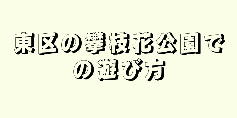 東区の攀枝花公園での遊び方