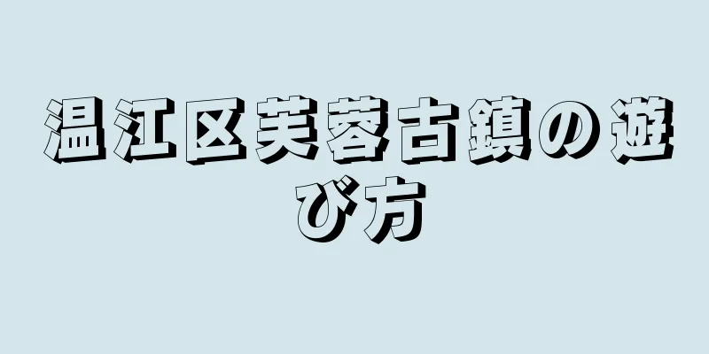 温江区芙蓉古鎮の遊び方