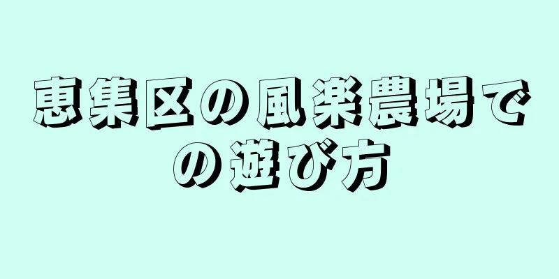 恵集区の風楽農場での遊び方
