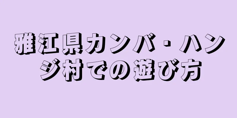 雅江県カンバ・ハンジ村での遊び方