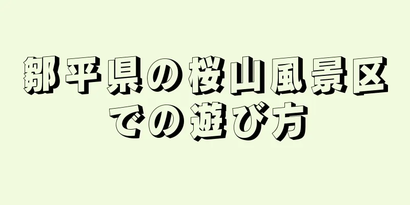 鄒平県の桜山風景区での遊び方