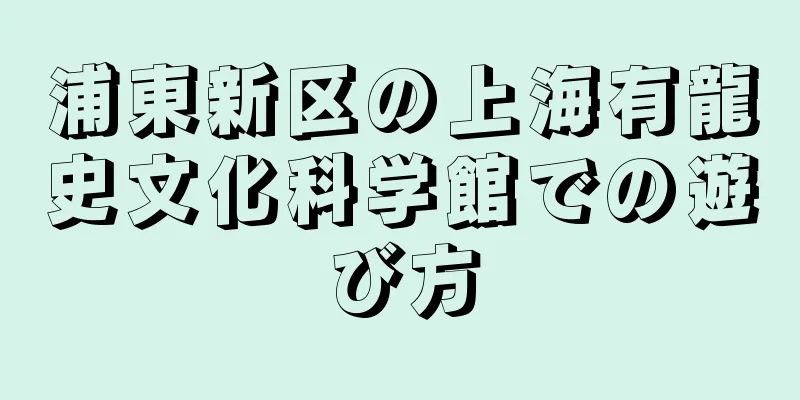 浦東新区の上海有龍史文化科学館での遊び方