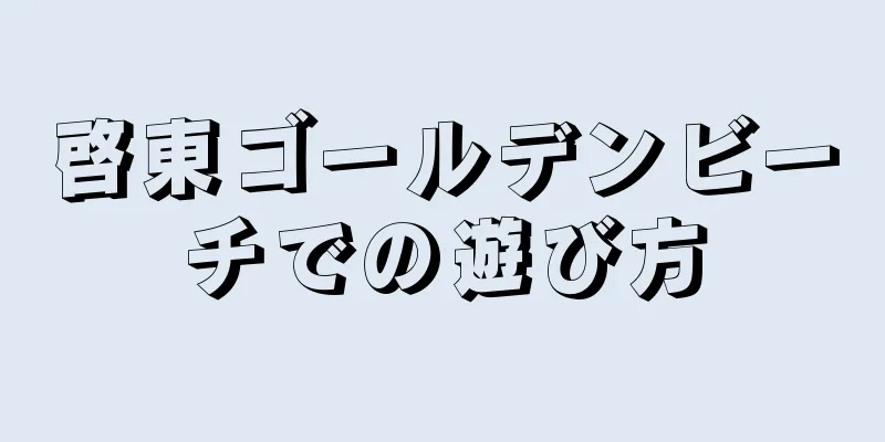 啓東ゴールデンビーチでの遊び方