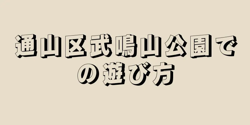 通山区武鳴山公園での遊び方