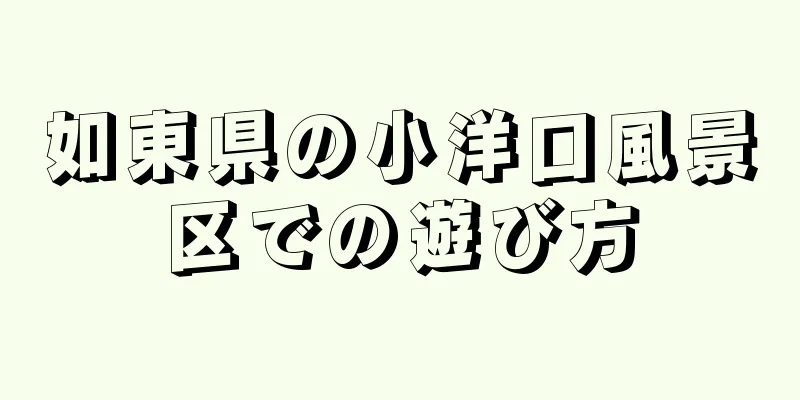 如東県の小洋口風景区での遊び方