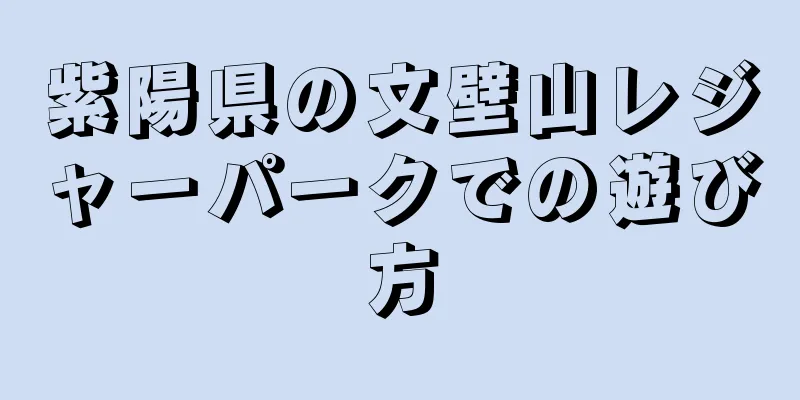 紫陽県の文壁山レジャーパークでの遊び方