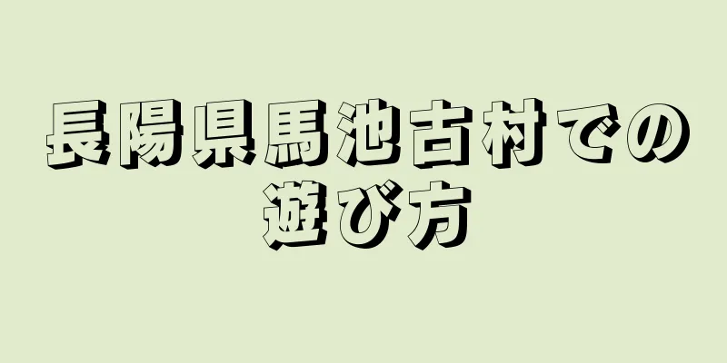 長陽県馬池古村での遊び方